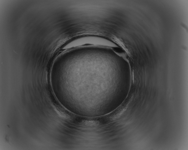 X0000093110205200710171230