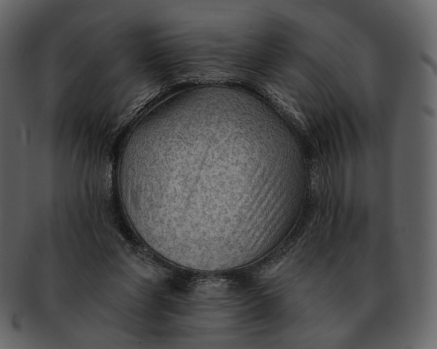 X0000093110206200710171230