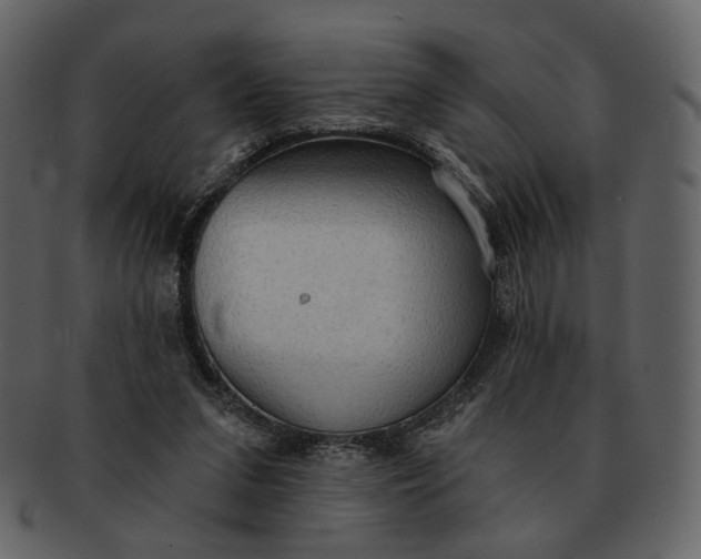 X0000093110207200710171230