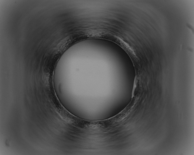 X0000093110209200710171230