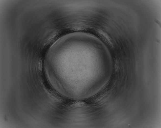 X0000093110210200710171230