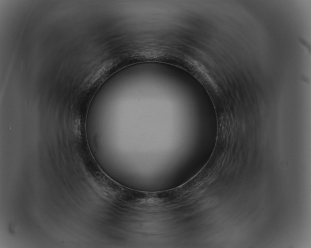 X0000093110212200710171230