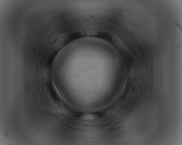 X0000093110218200710171230