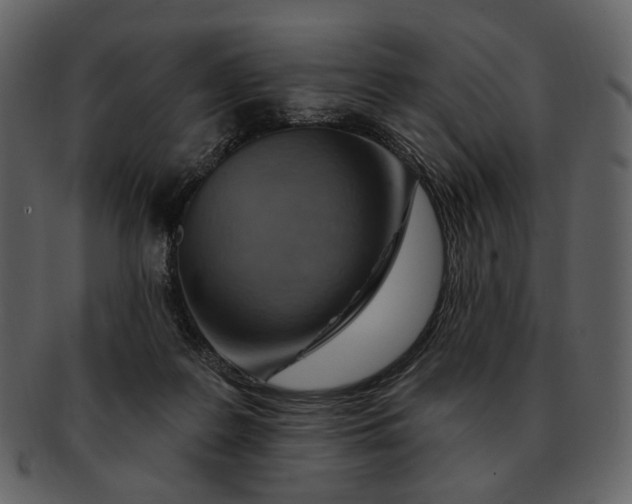 X0000093110219200710171230