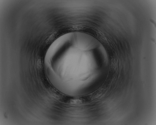 X0000093110220200710171230