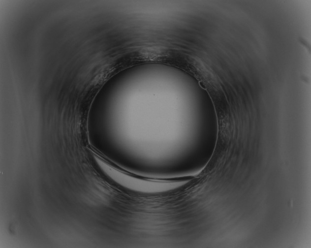 X0000093110221200710171230