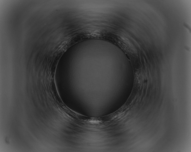 X0000093110223200710171230