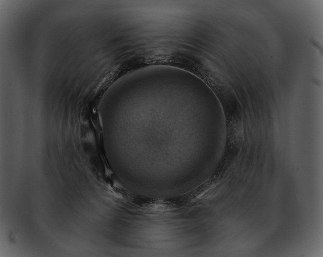 X0000093110224200710171230