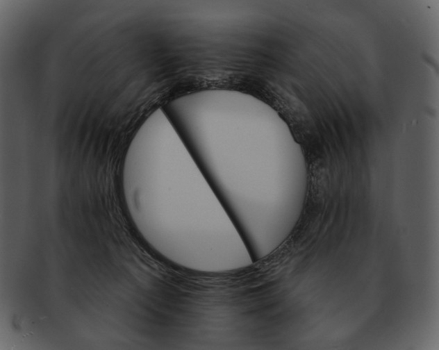 X0000093110225200710171230