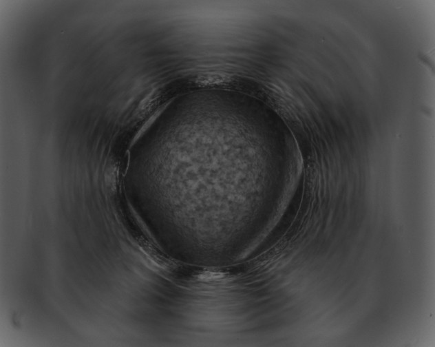 X0000093110227200710171230