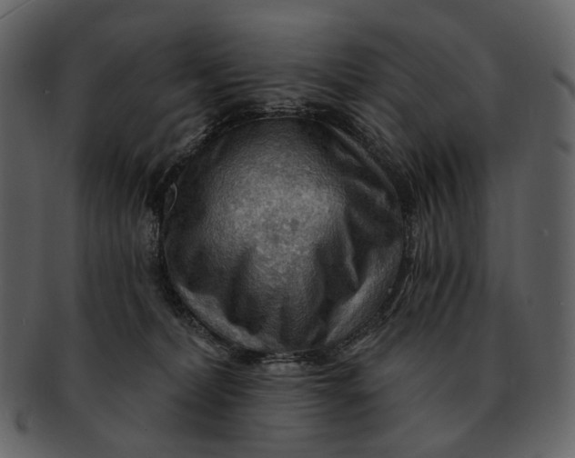 X0000093110228200710171229