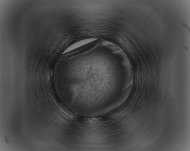 X0000093110229200710171229