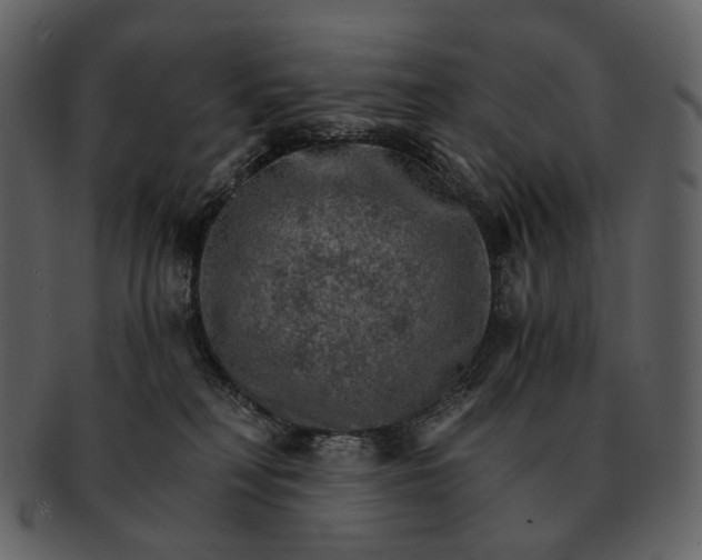 X0000093110230200710171229