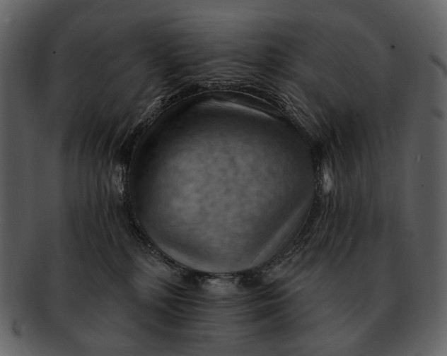 X0000093110232200710171229