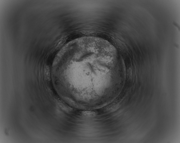 X0000093110234200710171229