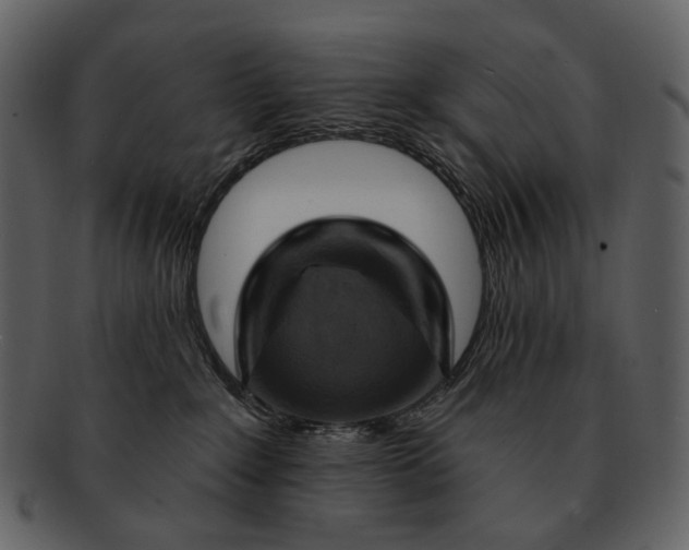 X0000093110235200710171229