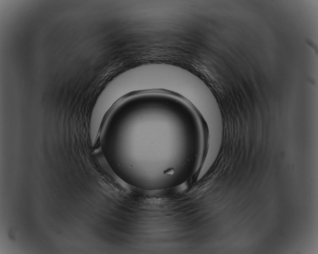 X0000093110237200710171229