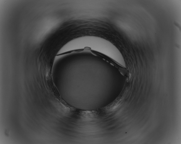 X0000093110239200710171229