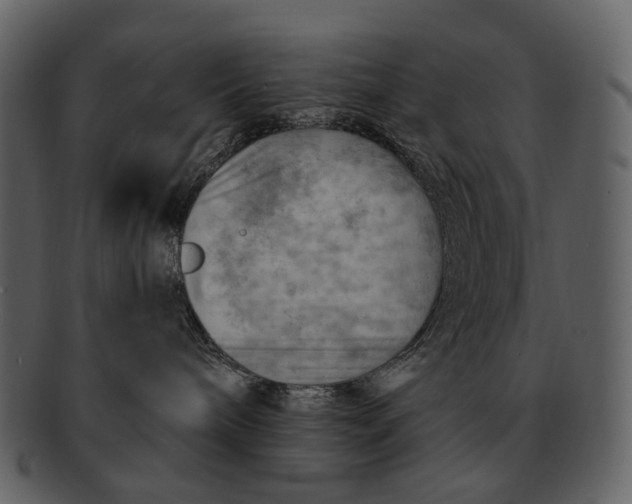 X0000093110240200710171229