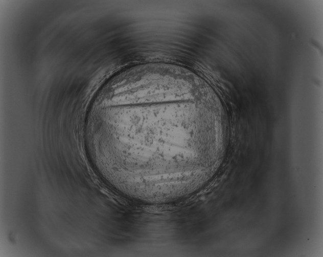 X0000093110241200710171229