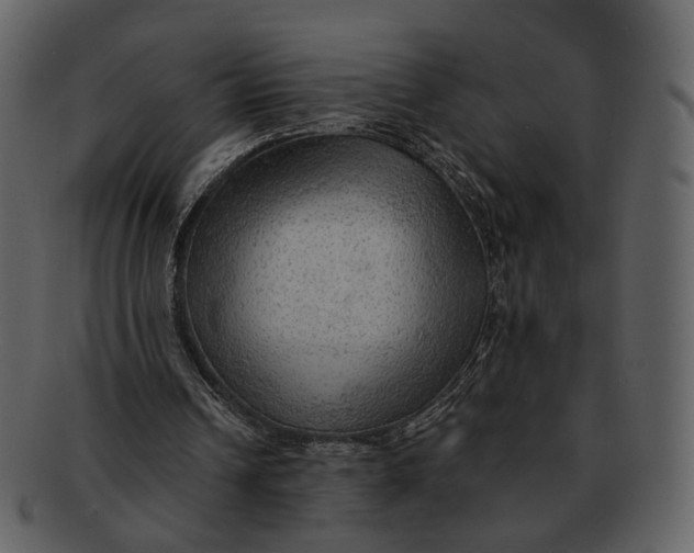 X0000093110242200710171229