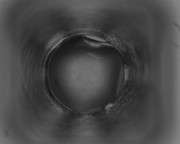 X0000093110243200710171229