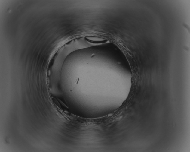 X0000093110244200710171229