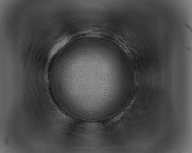 X0000093110245200710171229