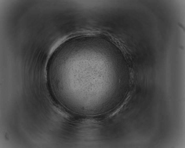 X0000093110246200710171229