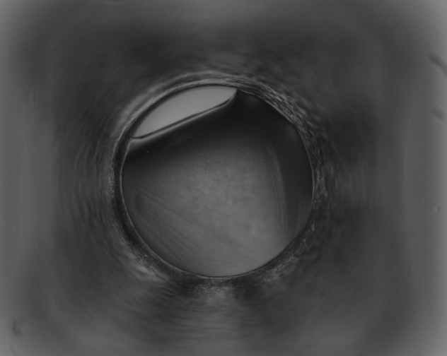 X0000093110247200710171229