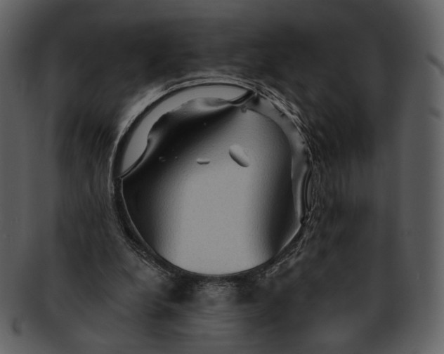 X0000093110248200710171229