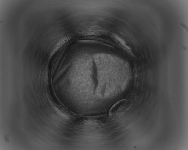 X0000093110250200710171229