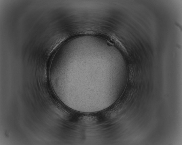 X0000093110251200710171229