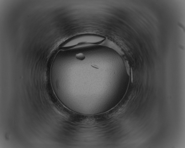 X0000093110252200710171229