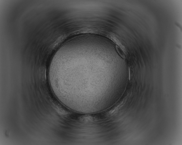 X0000093110253200710171229