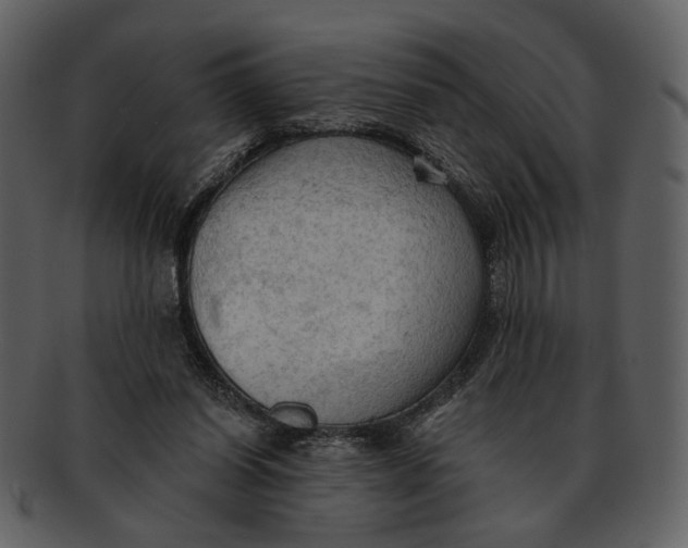 X0000093110254200710171229