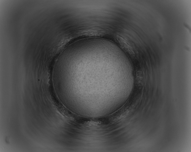 X0000093110255200710171229