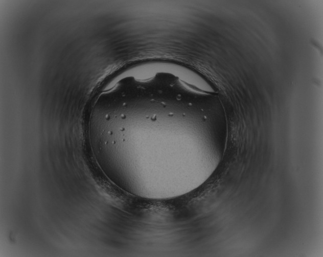 X0000093110256200710171229