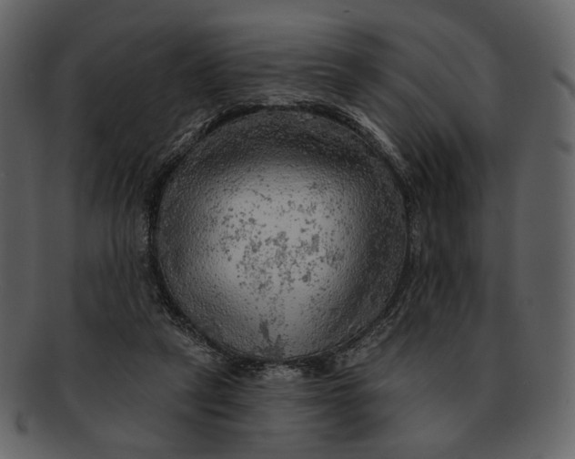 X0000093110257200710171229