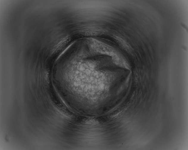 X0000093110258200710171229