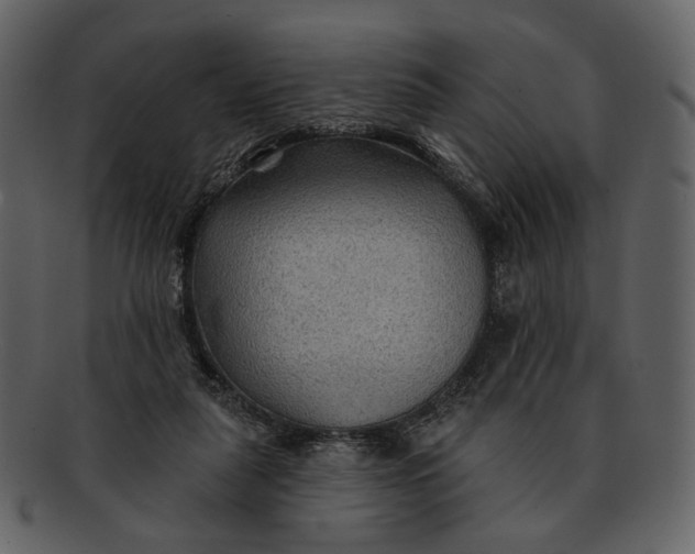 X0000093110259200710171229