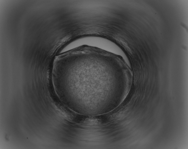 X0000093110260200710171229