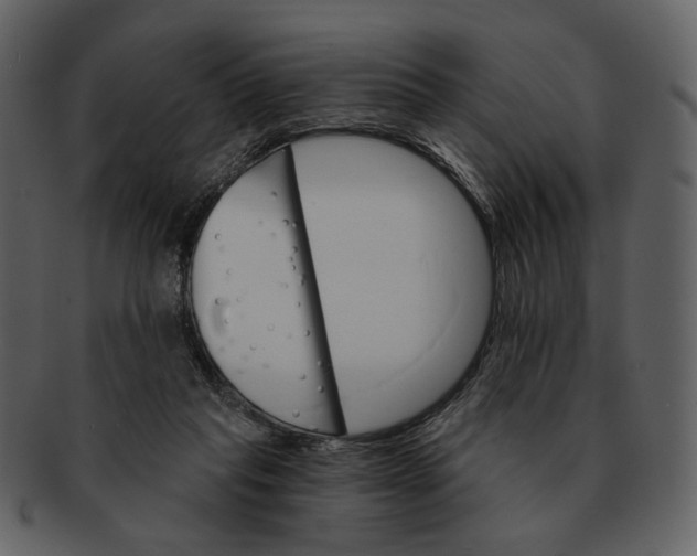 X0000093110261200710171229