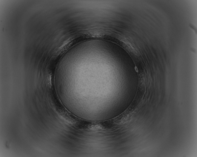 X0000093110262200710171229