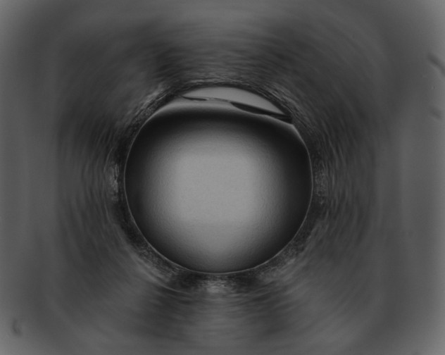 X0000093110264200710171229