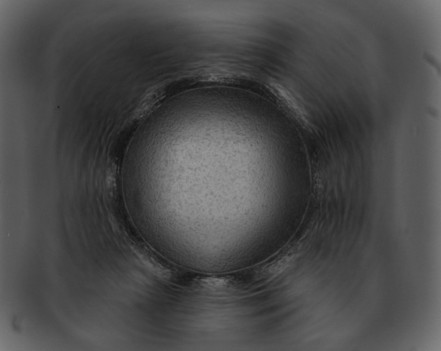 X0000093110265200710171229