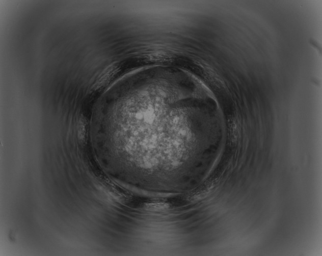 X0000093110266200710171229