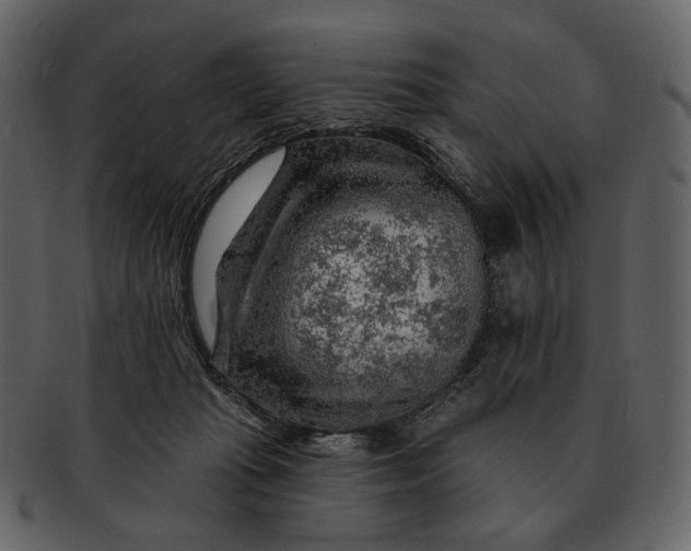 X0000093110269200710171229