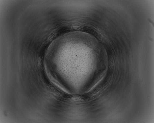 X0000093110270200710171229