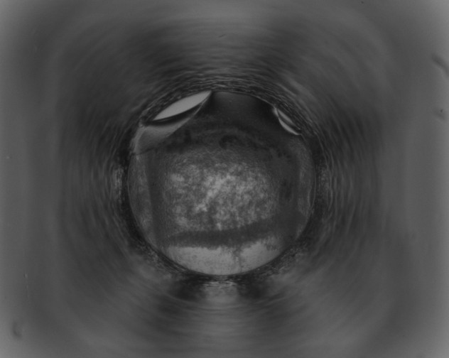 X0000093110271200710171229